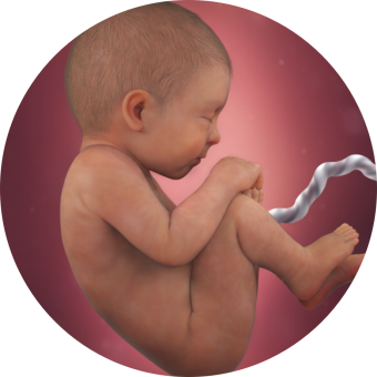 Babylist Registry Photo.