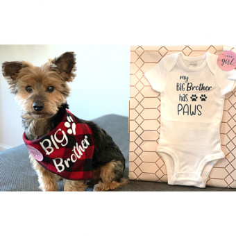 Babylist Registry Photo.