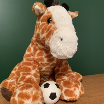Babylist Registry Photo.