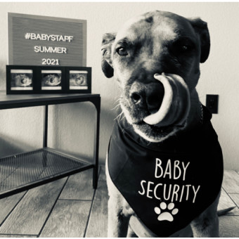 Babylist Registry Photo.