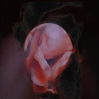 Babylist Registry Photo.
