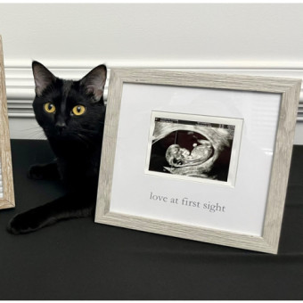 Babylist Registry Photo.