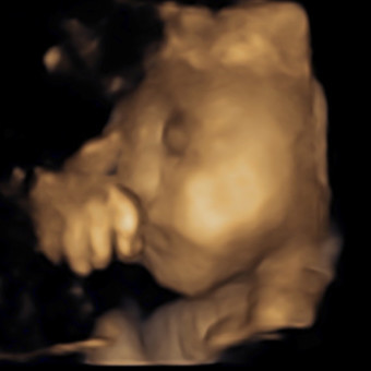 Babylist Registry Photo.