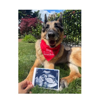 Babylist Registry Photo.