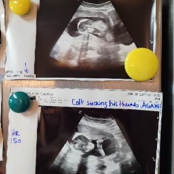 Babylist Registry Photo.