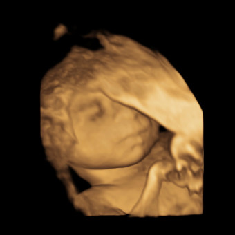 Babylist Registry Photo.