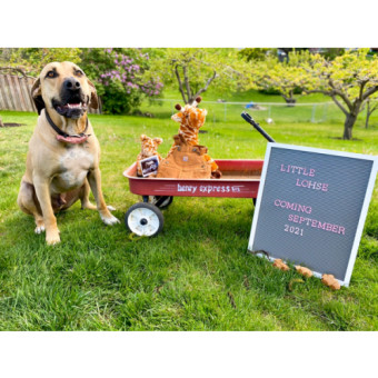 Babylist Registry Photo.