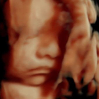 Babylist Registry Photo.