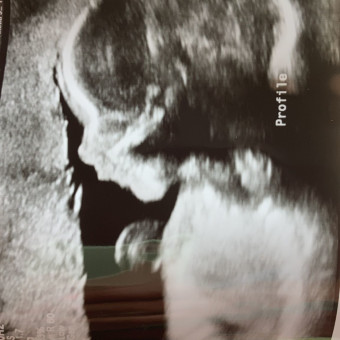 Babylist Registry Photo.