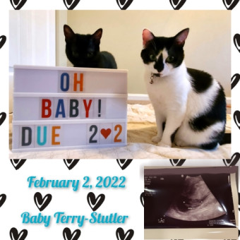 Babylist Registry Photo.