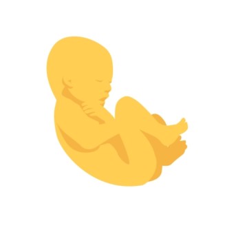 Babylist Registry Photo.