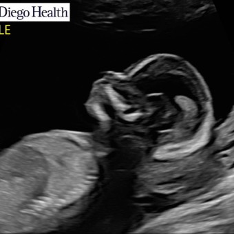 Babylist Registry Photo.
