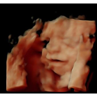 Babylist Registry Photo.