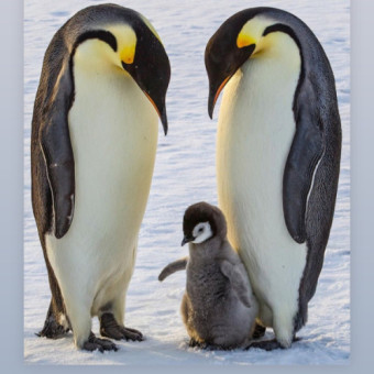 Babylist Registry Photo.