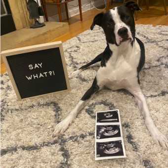 Babylist Registry Photo.