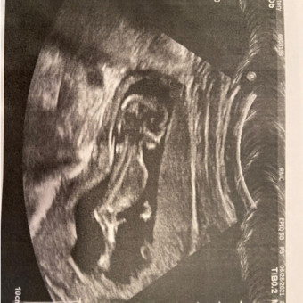 Babylist Registry Photo.
