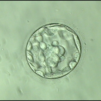 Babylist Registry Photo.