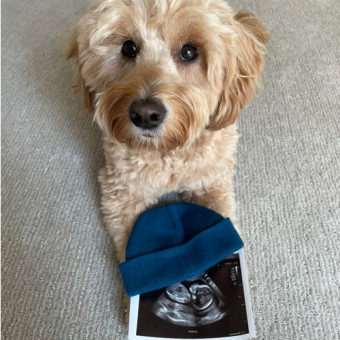 Babylist Registry Photo.