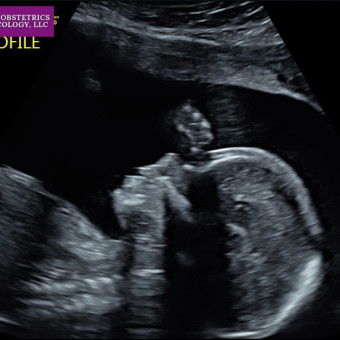 Babylist Registry Photo.