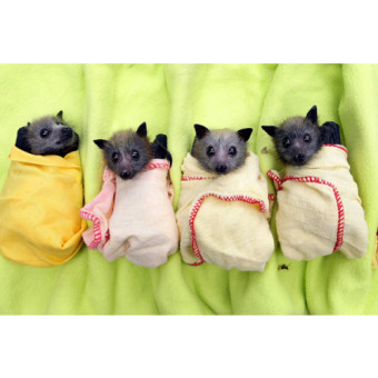 Babylist Registry Photo.