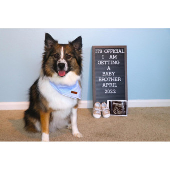 Babylist Registry Photo.
