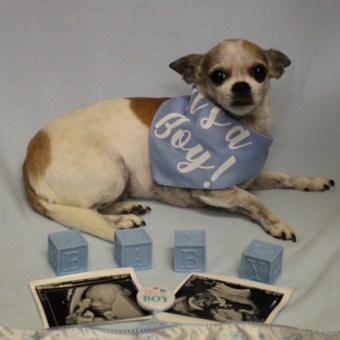 Babylist Registry Photo.