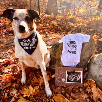 Babylist Registry Photo.
