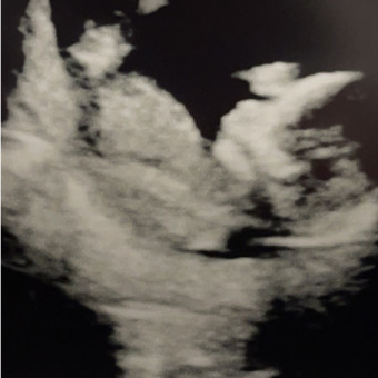 Babylist Registry Photo.