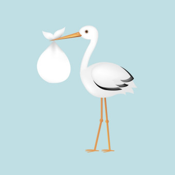 Babylist Registry Photo.