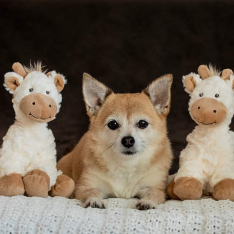 Babylist Registry Photo.