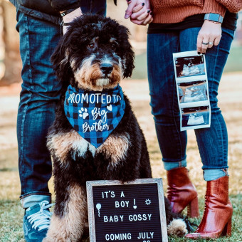 Babylist Registry Photo.