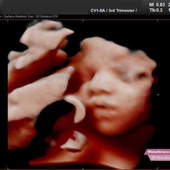 Babylist Registry Photo.