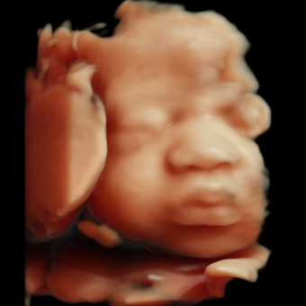 Babylist Registry Photo.