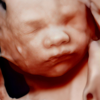Babylist Registry Photo.