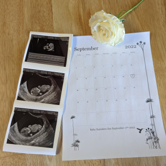 Babylist Registry Photo.