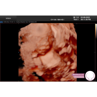 Babylist Registry Photo.