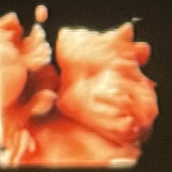 Babylist Registry Photo.