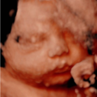 Babylist Registry Photo.