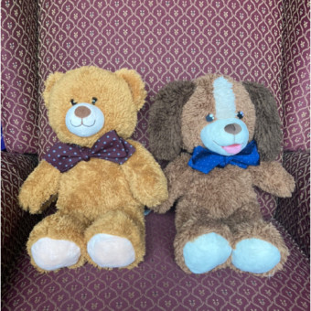 Babylist Registry Photo.