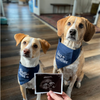 Babylist Registry Photo.