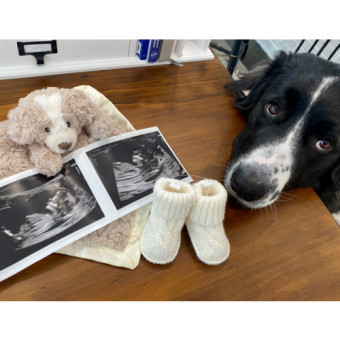 Babylist Registry Photo.