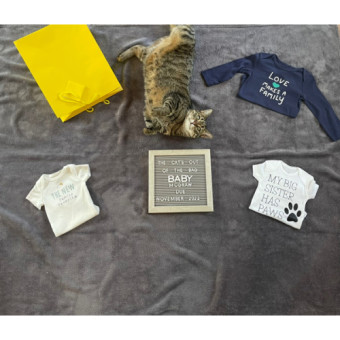 Babylist Registry Photo.