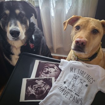 Babylist Registry Photo.