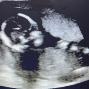Babylist Registry Photo.