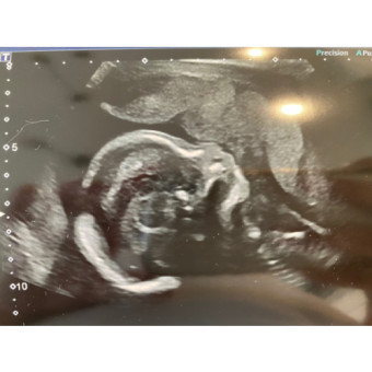 Babylist Registry Photo.