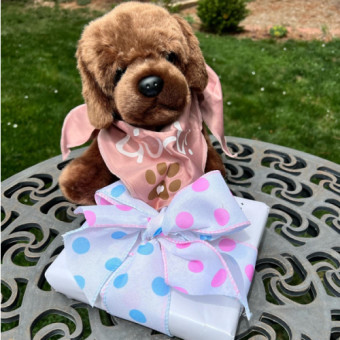 Babylist Registry Photo.