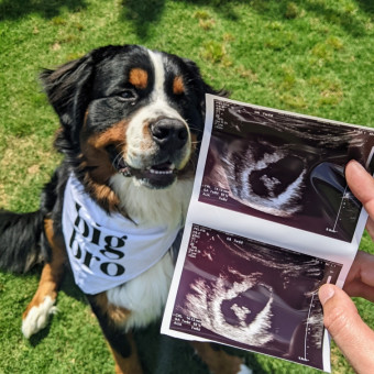 Babylist Registry Photo.