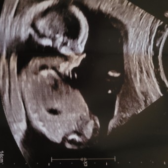 Babylist Registry Photo.