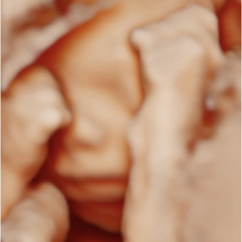 Babylist Registry Photo.