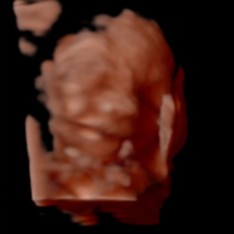 Babylist Registry Photo.